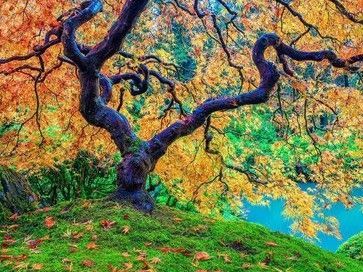 It Was Never About AI