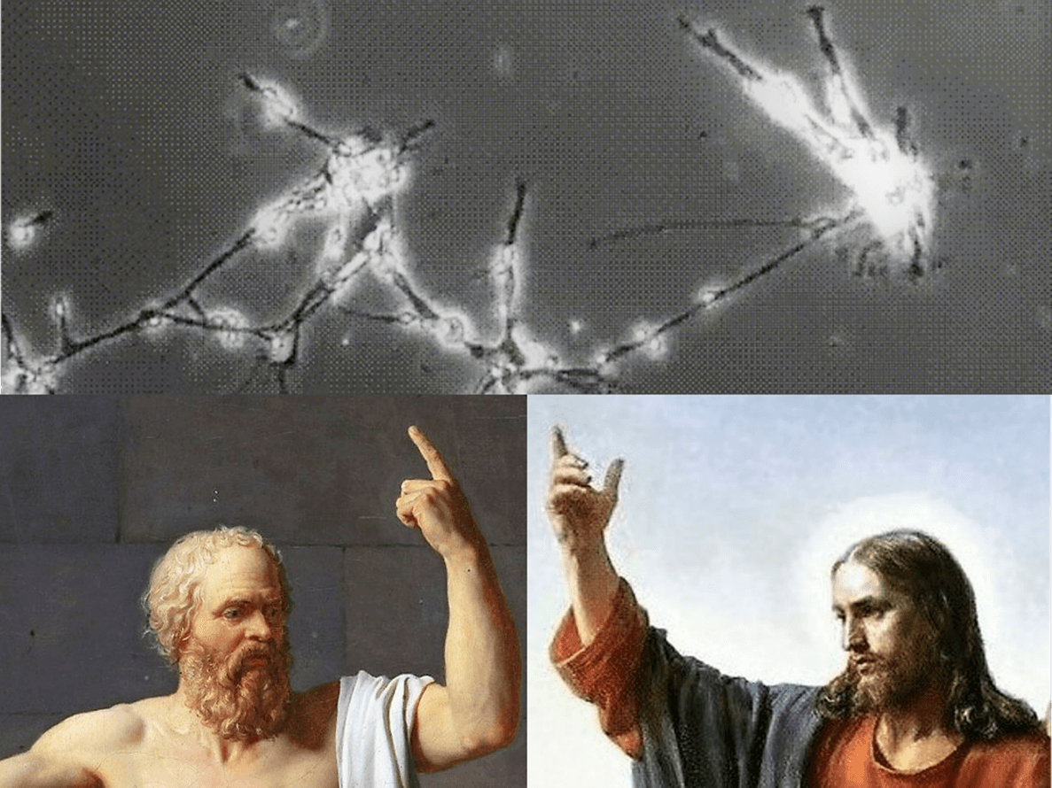 narrative dimension