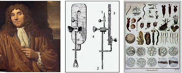 Leeuwenhoek.jpg